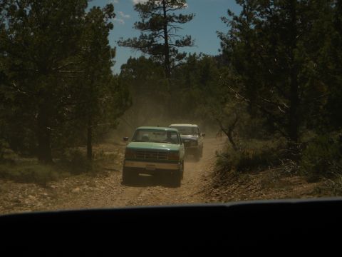 1992 Ford Bronco - Two trucks travel down a dirt road surrounded by trees.