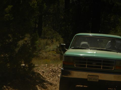 1992 Ford Bronco - A green Ford F-Series truck drives on a dirt road through a wooded area.
