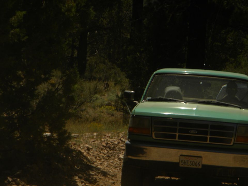 Green Ford F-Series truck on a dirt road