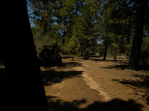 1992 Ford Bronco - A yellow Jeep Wrangler is parked on a dirt path surrounded by trees.