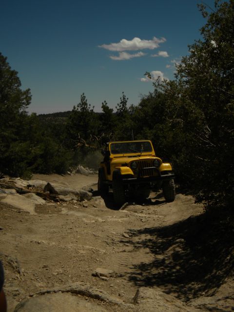 1992 Ford Bronco - A yellow Jeep CJ navigates a challenging off-road path surrounded by trees and rocks under a clear blue sky.