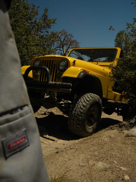 1992 Ford Bronco - A yellow Jeep navigates a dirt path surrounded by trees under a clear blue sky.
