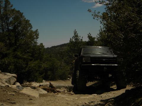 1992 Ford Bronco - A black 1992 Ford Bronco navigates a rough, rocky path through a wooded, hilly area.