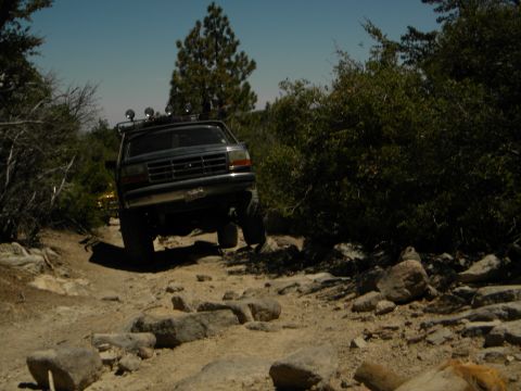 1992 Ford Bronco - A Ford F-Series truck navigates a rough, off-road path with trees and bushes lining the way.