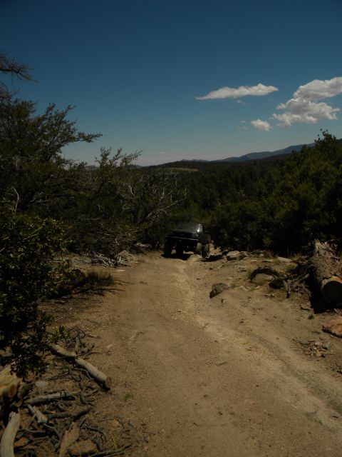 1992 Ford Bronco - A 1992 Ford Bronco navigates a rough dirt road through a wooded, hilly landscape under a clear blue sky.