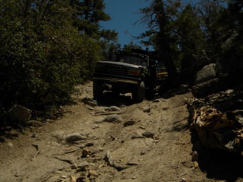 1992 Ford Bronco - A truck navigates a rough, rocky path through a wooded area on a clear day.