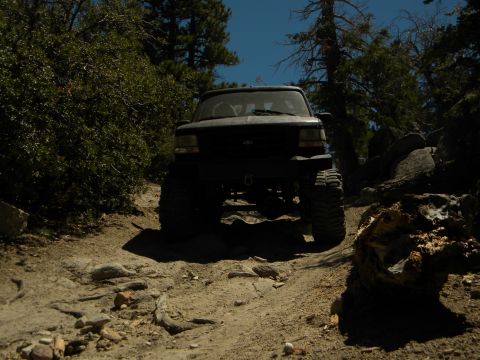 1992 Ford Bronco - A dark-colored SUV navigates a rough, unpaved path through a wooded area.