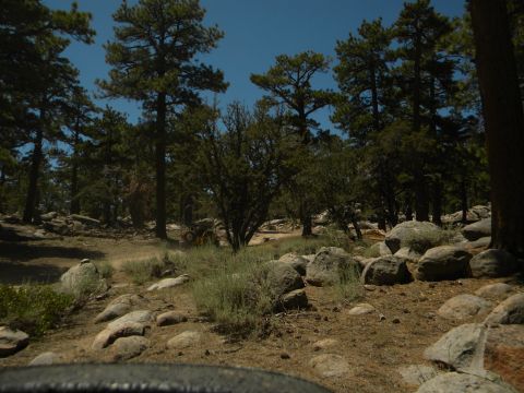 1992 Ford Bronco - A rocky, wooded landscape with a dirt path visible in the distance.