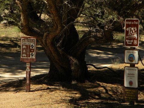 1992 Ford Bronco - Signs indicate the John Bull Trail, a designated vehicle route, in a natural outdoor setting.