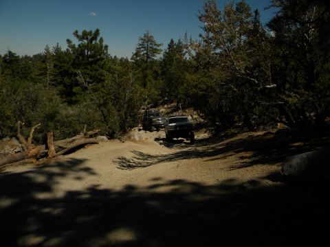 1992 Ford Bronco - Two SUVs navigate a challenging dirt trail surrounded by trees and rocks.