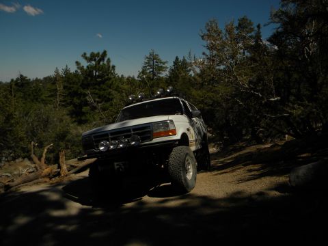 1992 Ford Bronco - This lifted 1992 Ford Bronco navigates a dusty, wooded trail under a clear blue sky.