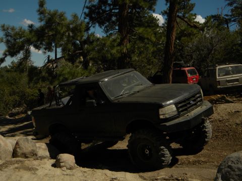 1992 Ford Bronco - Modified 1992 Ford Bronco navigating a rough, wooded off-road path.