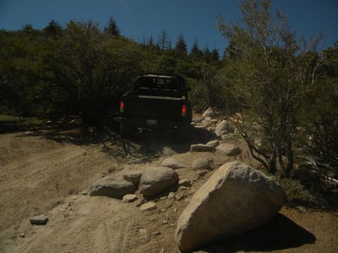 1992 Ford Bronco - A black pickup truck navigates a challenging, rocky trail surrounded by dense vegetation under a clear blue sky.