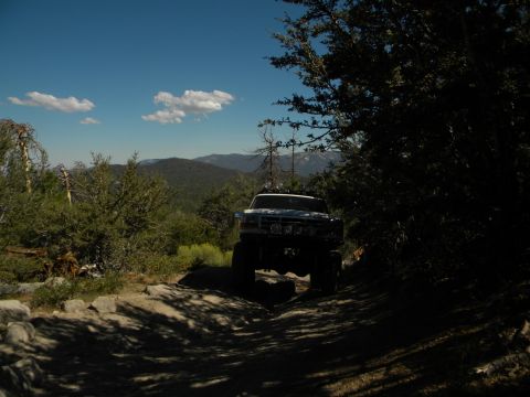 Off-road SUV on a dirt path with trees and mountains in the background