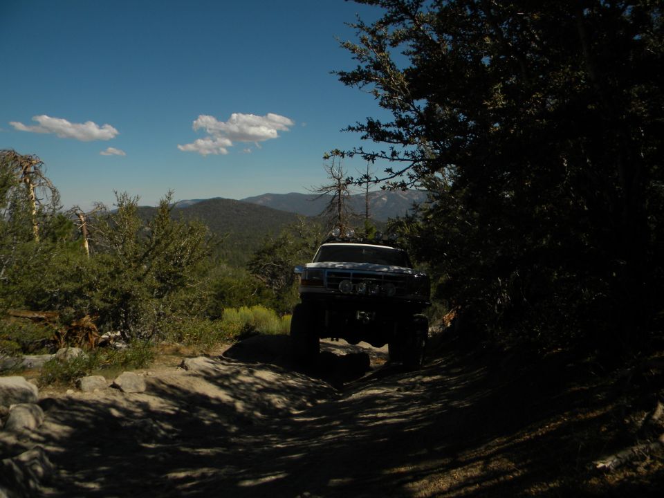 Off-road SUV on a dirt path with trees and mountains in the background