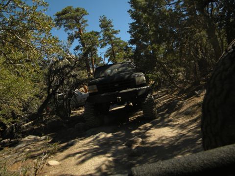 Black 1992 Ford Bronco on a wooded trail
