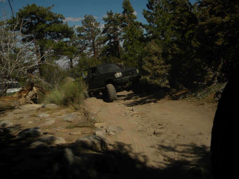 1992 Ford Bronco navigating a rocky, wooded trail