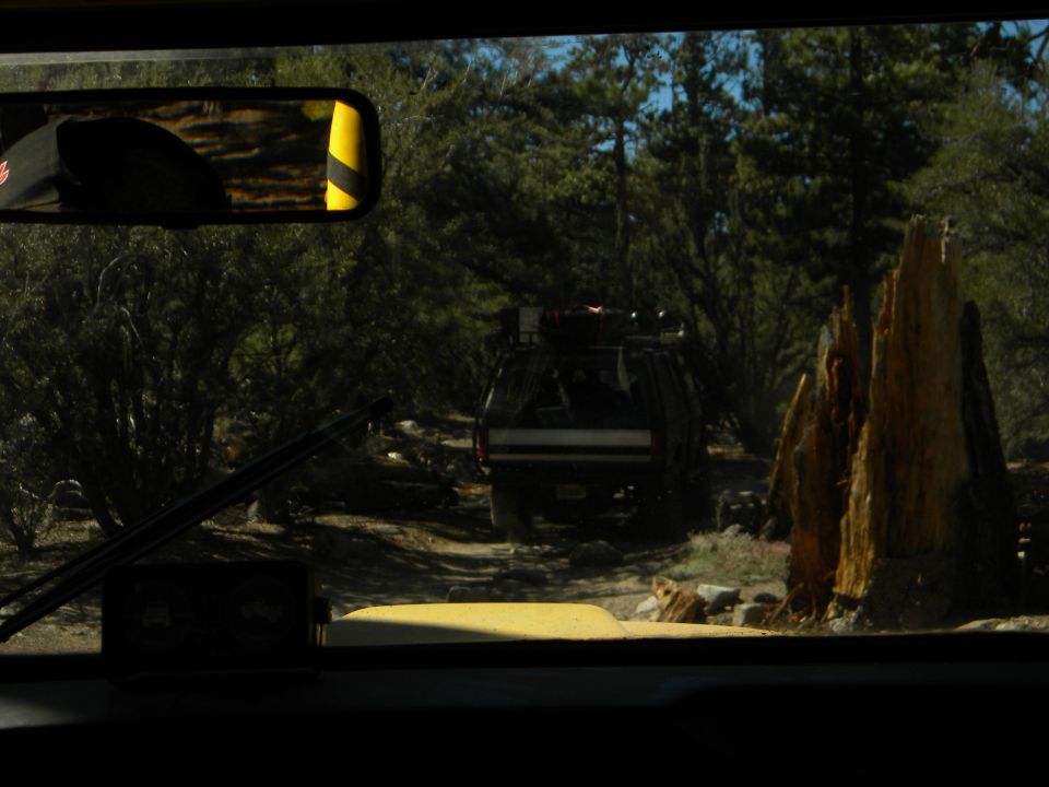 View from inside a vehicle looking at another SUV driving on a dirt road in a forest. The SUV has a roof rack