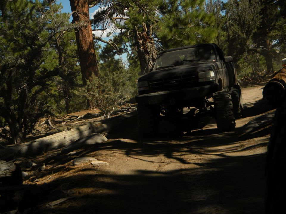 Black 1992 Ford Bronco with large tires driving on a wooded dirt road
