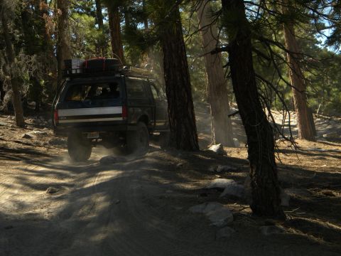 Dark SUV with camper shell driving on dirt road in forest