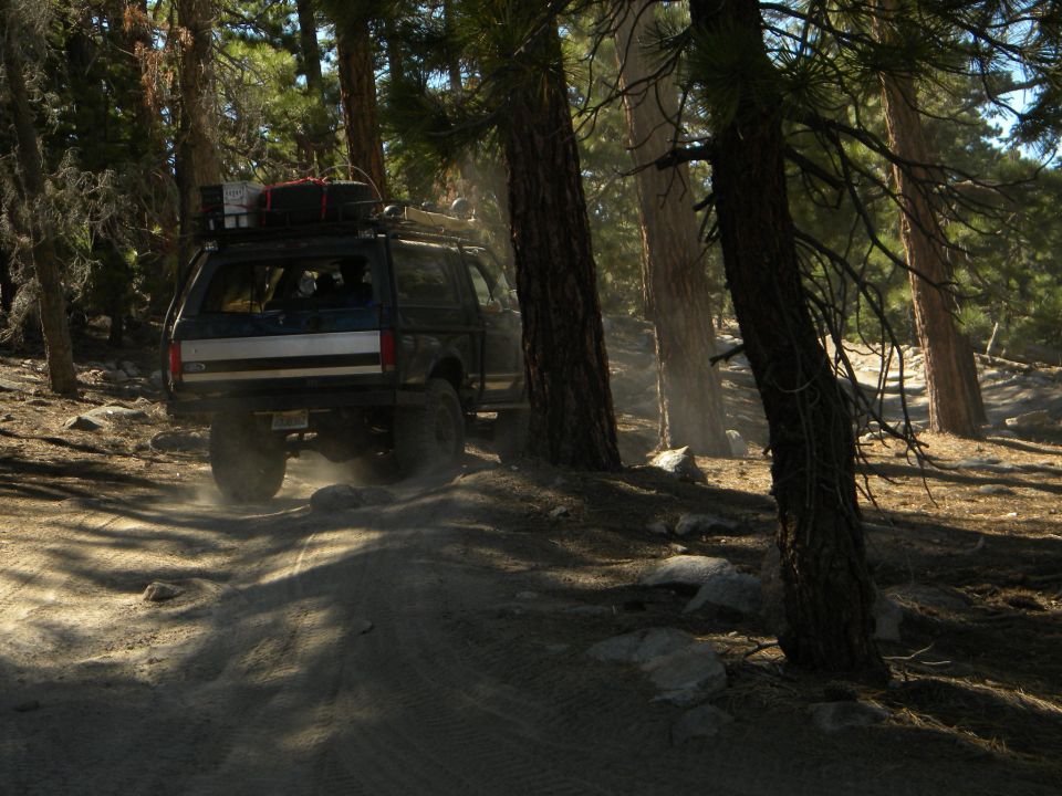 Dark SUV with camper shell driving on dirt road in forest