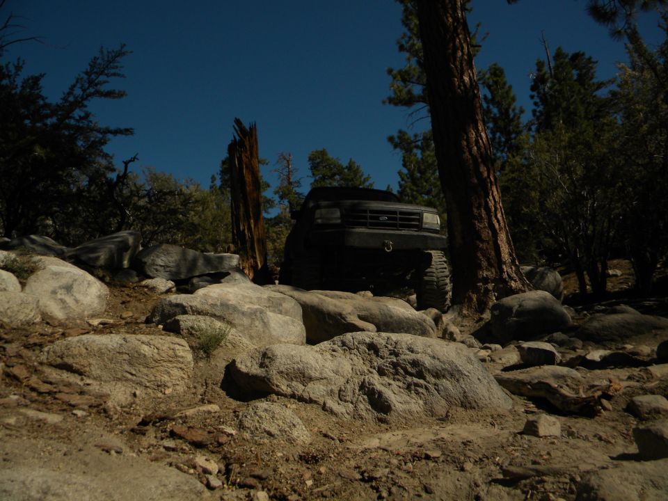 1992 Ford Bronco navigating a rocky trail with trees and blue sky