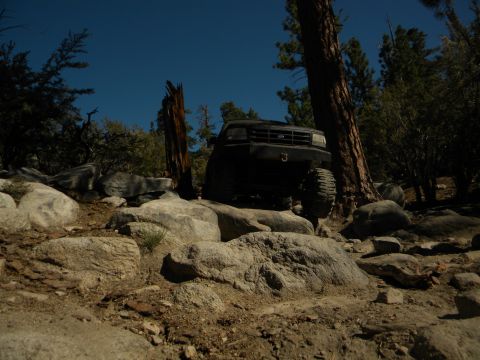 Black 1992 Ford Bronco climbing over large rocks on a wooded trail