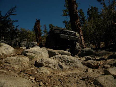 1992 Ford Bronco navigating a rocky trail with trees and blue sky