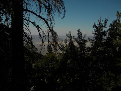 Desert landscape viewed through trees with Supermotors logo