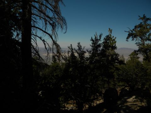 Mountain landscape with trees and distant hills under a clear blue sky