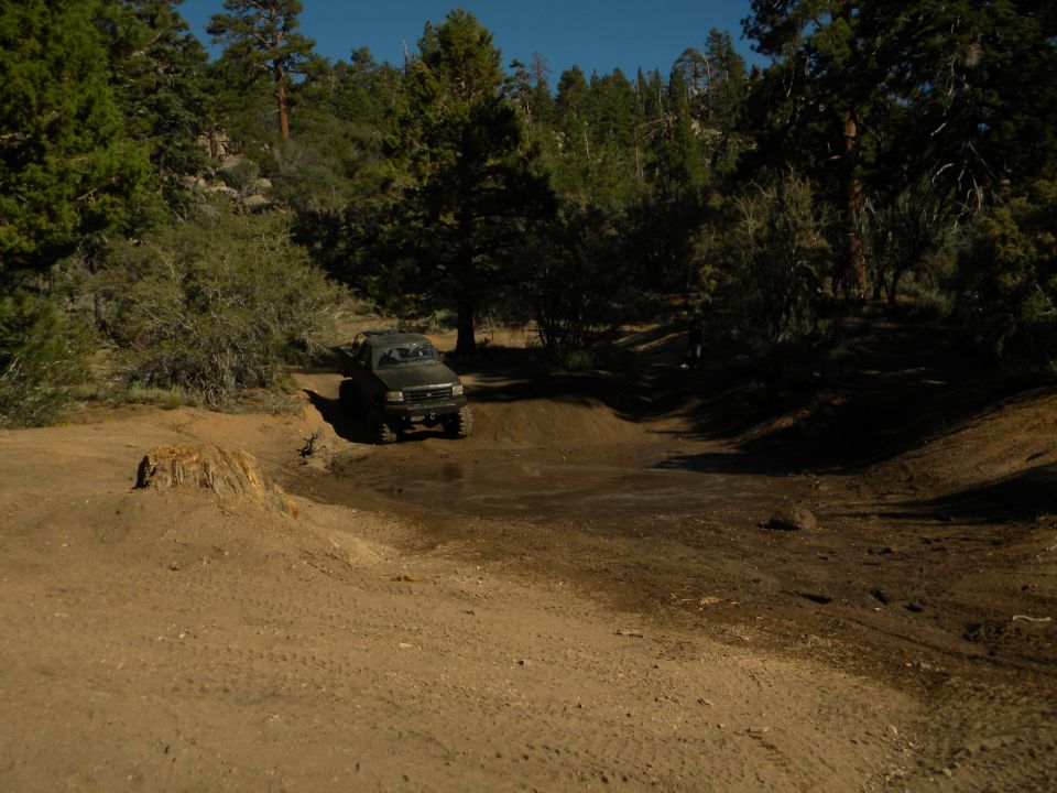 Dark off-road vehicle driving on a dirt track in a wooded area