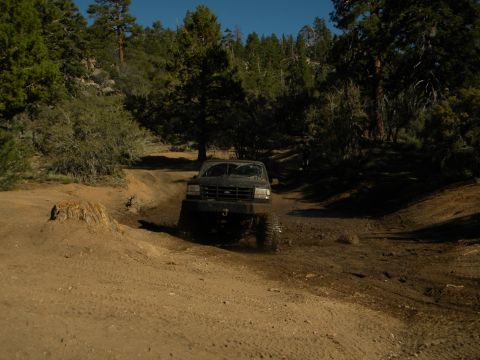 Ford Bronco driving through mud on a dirt trail with trees on either side