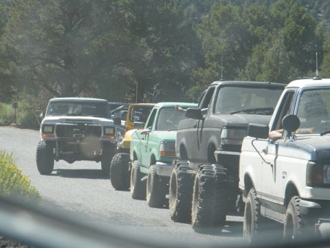 1982 Ford Bronco - A convoy of off-road trucks travels down a paved road surrounded by trees.