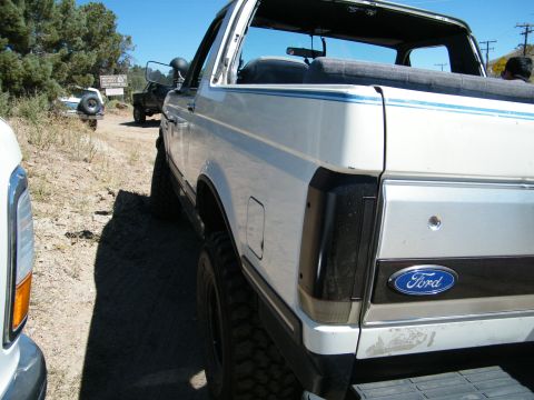 1982 Ford Bronco - A white 1982 Ford Bronco is seen from the rear, blue pinstripes and a Ford emblem. Another vehicle is visible in the background.