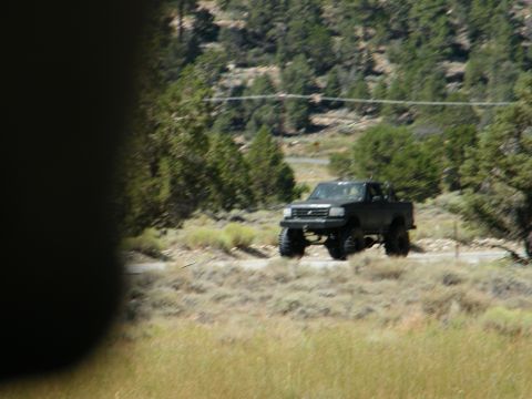 1982 Ford Bronco - Black pickup truck with large tires driving on a dirt road in a hilly, wooded area.