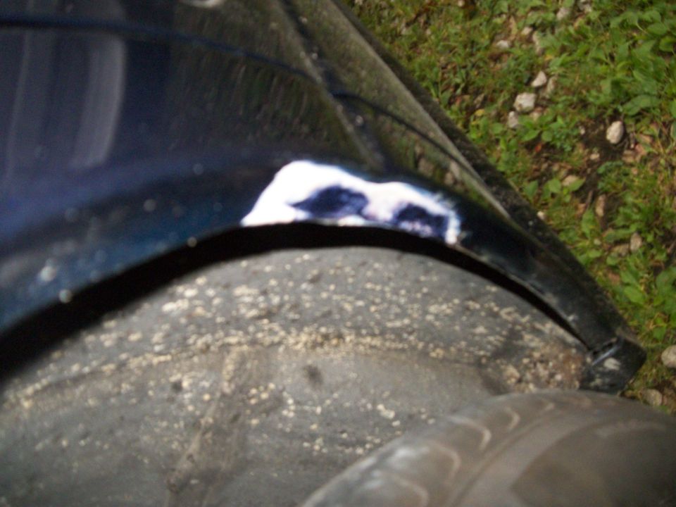 Dark blue car wheel arch with chipped paint exposing white primer