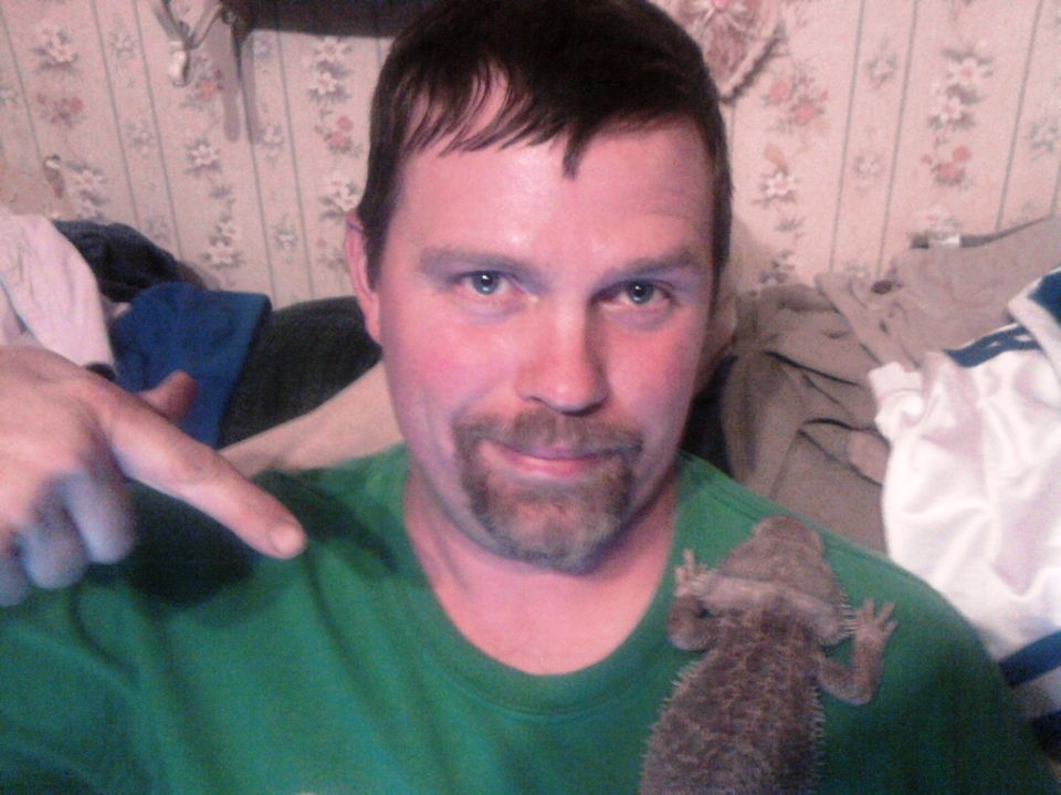 Person in green shirt with a bearded dragon lizard on their shoulder