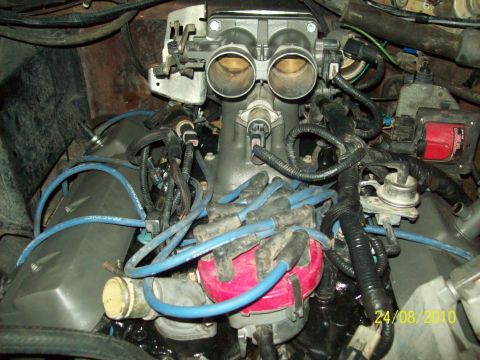 1985 Ford Bronco - Close-up view of engine components including a dual throttle body and distributor cap.