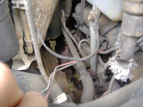 1995 Ford F-150 - Engine bay detail with hoses and wiring, showing signs of wear and rust.
