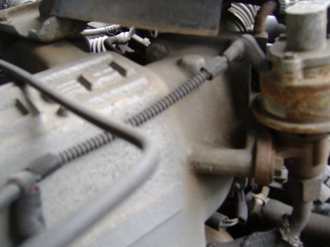 1995 Ford F-150 - Engine parts are visible in this close-up view, showing various metal components and wiring.