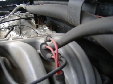 1995 Ford F-150 - Close-up view of engine components, including an intake manifold and spark plug wires.