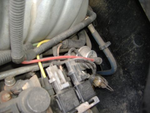 1995 Ford F-150 - A close-up view of the engine bay shows various wires, connectors, and hoses.