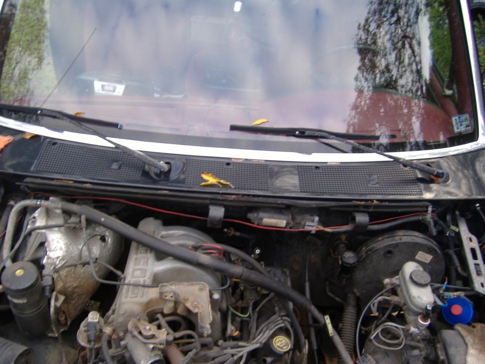 Engine bay with visible engine components, hoses, and windshield wipers