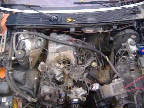 1995 Ford F-150 photo