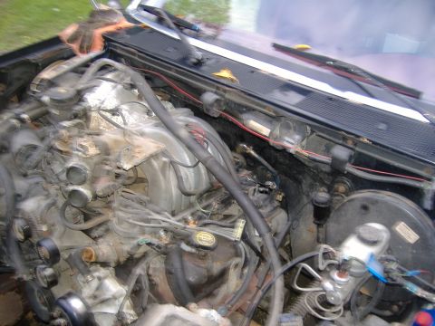 1995 Ford F-150 photo