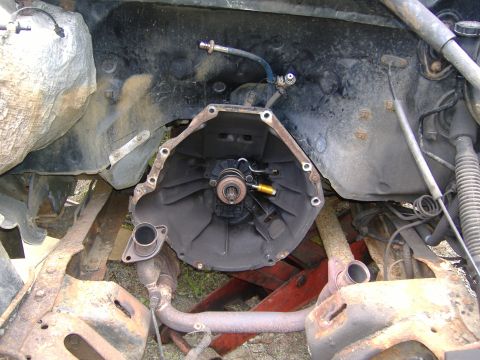 1995 Ford F-150 photo