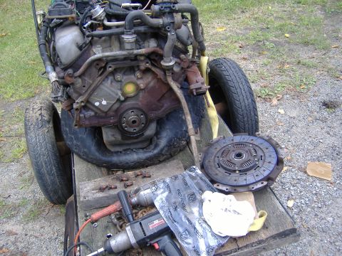 1995 Ford F-150 photo