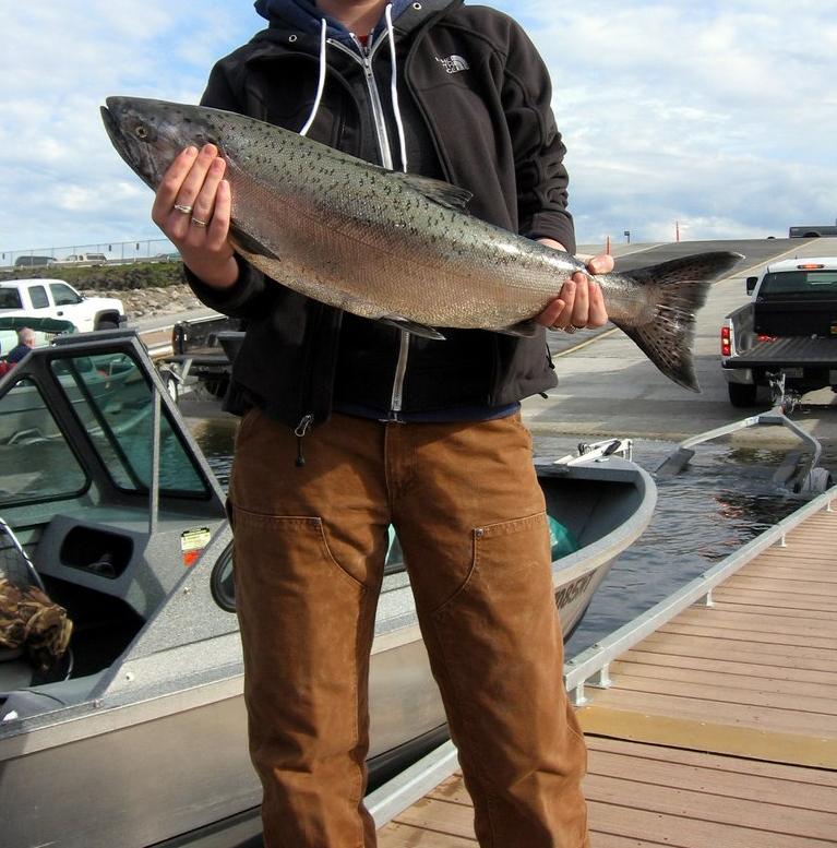 Person holding a large salmon near a boat ramp with trucks in the background