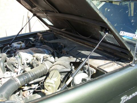 1975 Ford Bronco - The hood got the same treatement as the liftgate. [url=http://www.supermotors.net/registry/media/768115] http://www.supermotors.net/getfile…