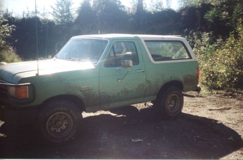 1990 Ford Bronco - bronco pre-lift